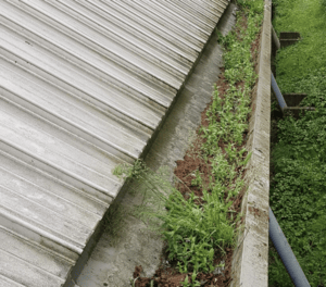 Happy customers in Yateley who trust The Roof Moss Cleaners for gutter cleaning services